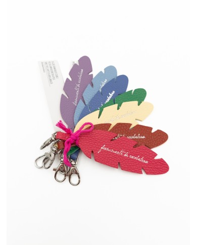 "Frammenti di Arcobaleno" - PACK 7 PIUME