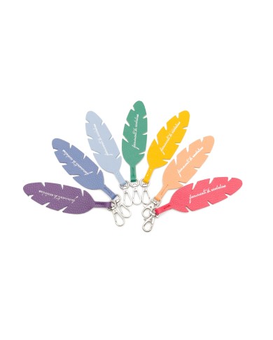 pack piume arcobaleno2