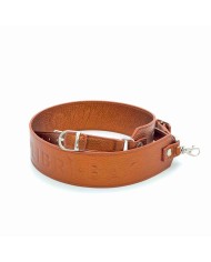 tracolle laminate amber